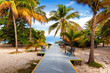 Foto: Path leading to the tropical beach of Varadero in Cuba Path leading to the tropical beach of Varadero in Cuba