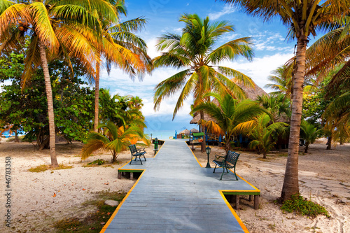 Photo: Path leading to the tropical beach of Varadero in Cuba Path leading to the tropical beach of Varadero in Cuba