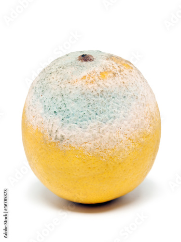 Photo: Verschimmelte Zitrone Verschimmelte Zitrone