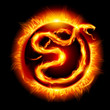 Card with snake