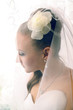 Foto: bride in veil bride in veil