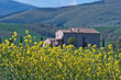 Primavera in Toscana