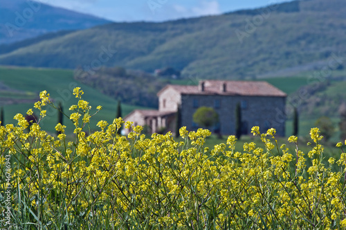 Photo: Primavera in Toscana Primavera in Toscana