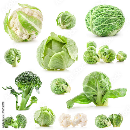 Photo: Collection of fresh cabbage, isolated on white background Collection of fresh cabbage, isolated on white background