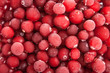 fresh frozen red cranberry