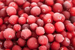 fresh frozen red cranberry