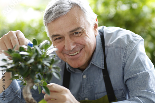 Photo: Senior man watering bonsai leaves Senior man watering bonsai leaves