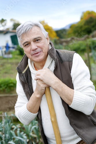 Photo: Senior man cultivating vegetables in kitchen garden Senior man cultivating vegetables in kitchen garden
