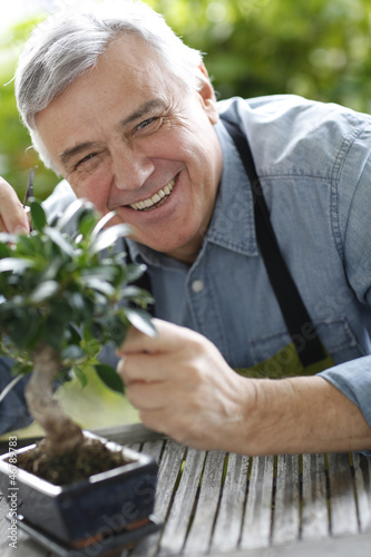 Photo: Senior man taking care of bonsai plant Senior man taking care of bonsai plant