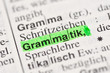 Grammatik im wörterbuch