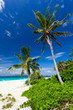 Tropical scene, Philippines