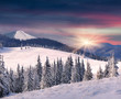 Photo: Trees covered with hoarfrost and snow in mountains. Sunrise Trees covered with hoarfrost and snow in mountains. Sunrise