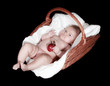 Portrait newborn baby in basket