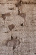 Coliseo de Roma