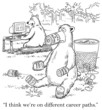 Bears think they are on different career paths