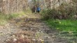 Video: Children walking Children walking