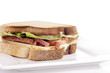 Gluten Free Sandwhich