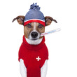 sick ill cold dog  with fever