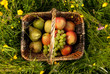 Obstkorb in der Blumenwiese