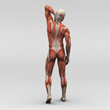 Mann Anatomie athletisch Pose stehend