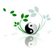 Ying Yang Wellness