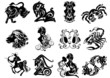 Zodiac Star Signs set . Vector set astrology sign.