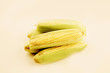 Corn The Crop