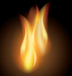 Vector flames on dark background, made with mesh