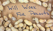 Photo: Peanuts with work sign Peanuts with work sign