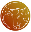 Taurus in the circle