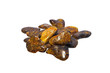 Foto: Lot of Vintage genuine raw Baltic amber stones Lot of Vintage genuine raw Baltic amber stones