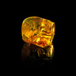 Ancient Baltic amber stones  and dragonfly black