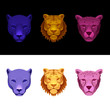big cat set-tiger, cheetah, panther