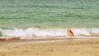 girl on the beach