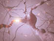 Neuron Concept