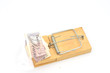 Twenty Pound Note folded in Mousetrap