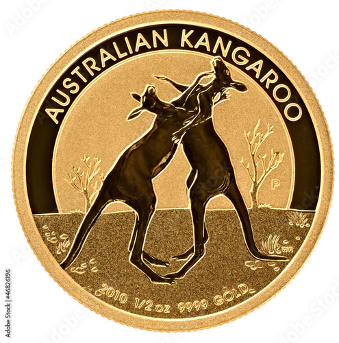 Photo: Panda Gold coin 2008 Panda Gold coin 2008