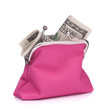 Purse with hundred dollar banknote