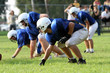 Pro American Football Scrimmage