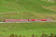Alpine express at Furka pass, Switzerland