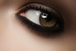 Elegance close-up of female eye with classic brown make-up