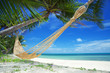 Photo: hammock hammock