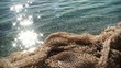 driftnet