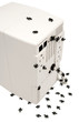 Ants around computer cpu