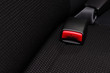 safety belt in a car