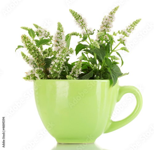 Photo: fresh mint with flowers in cup, isolated on white fresh mint with flowers in cup, isolated on white