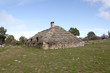 Barn bis