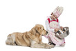 Foto: Bambina cucina per il cane Bambina cucina per il cane