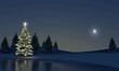 Winterlandschft am See
