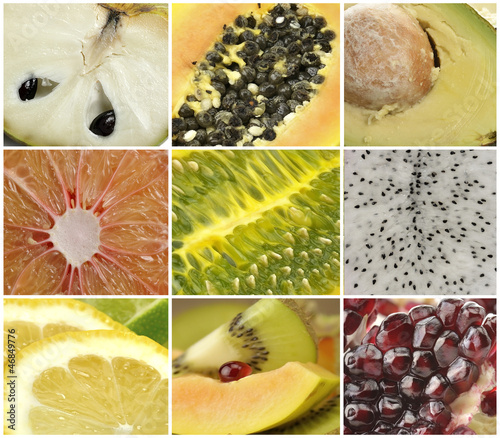 Photo: Fruit Collection Fruit Collection